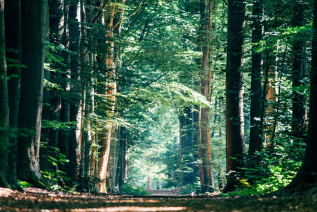 Unser neuer Onlineshop: Mehr Sicherheit, mehr Komfort, mehr Möglichkeiten!