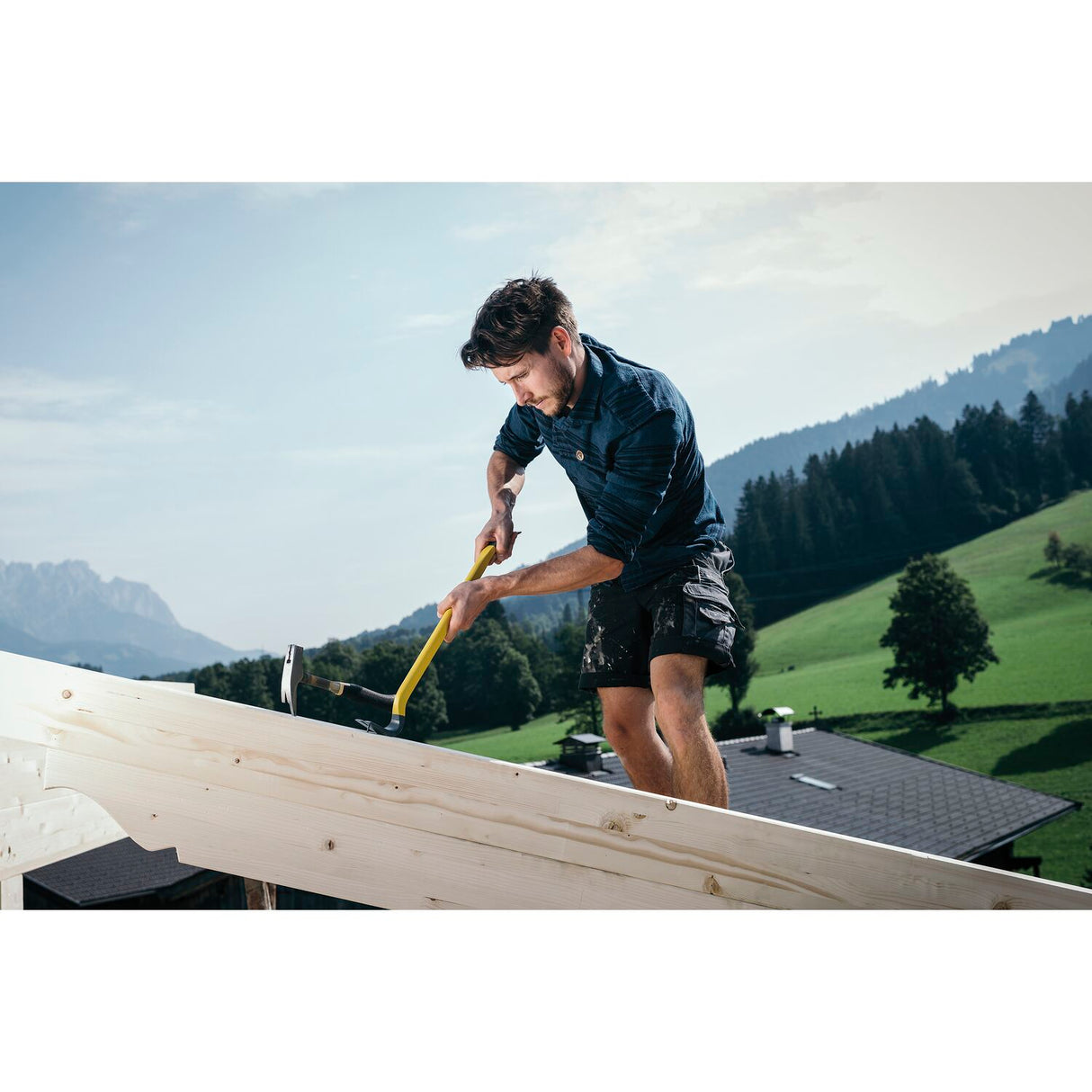 DV005-anwb-Wikinger-Nageleisen-101190943-945-1_0