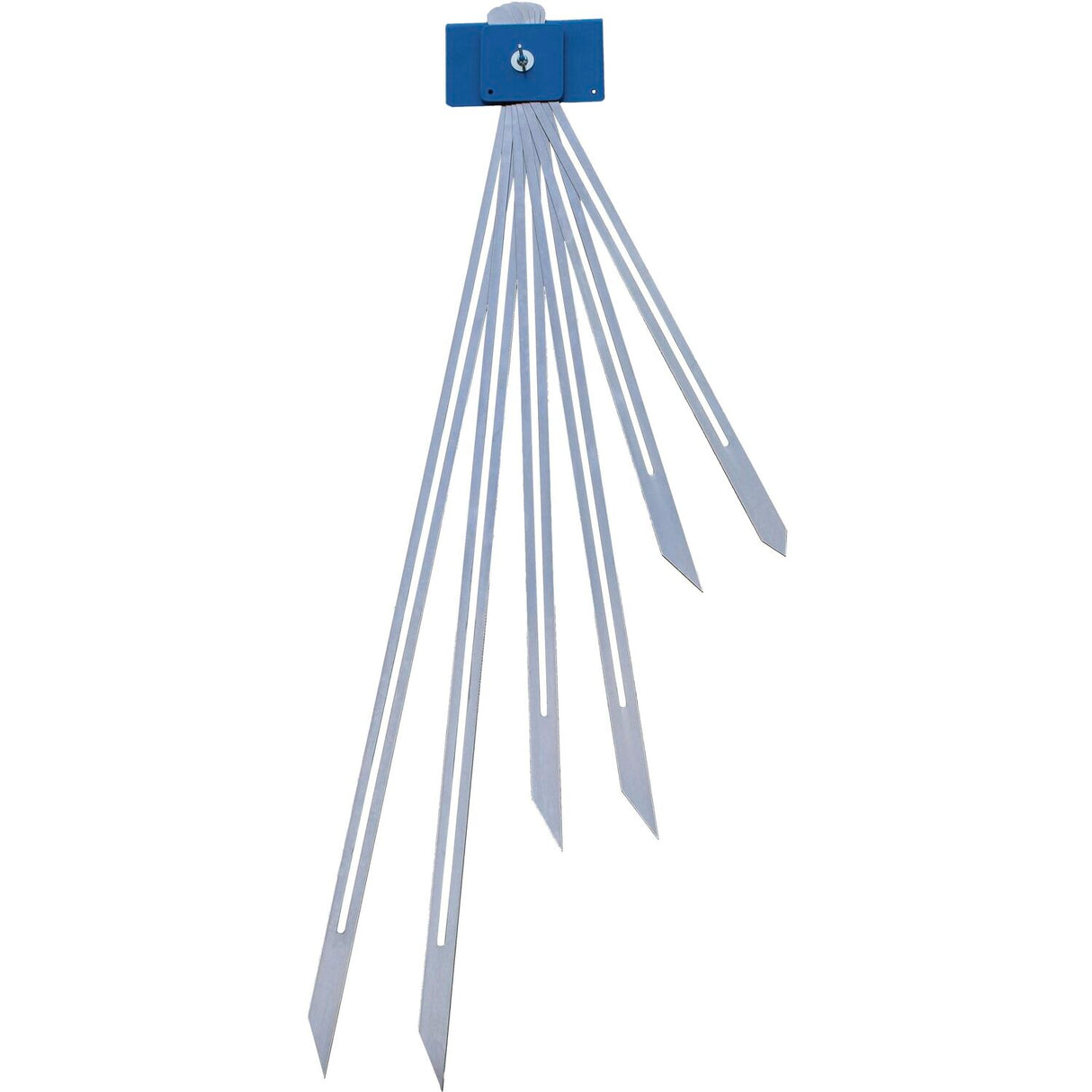 DV005-ppic_Treppenspinne_0