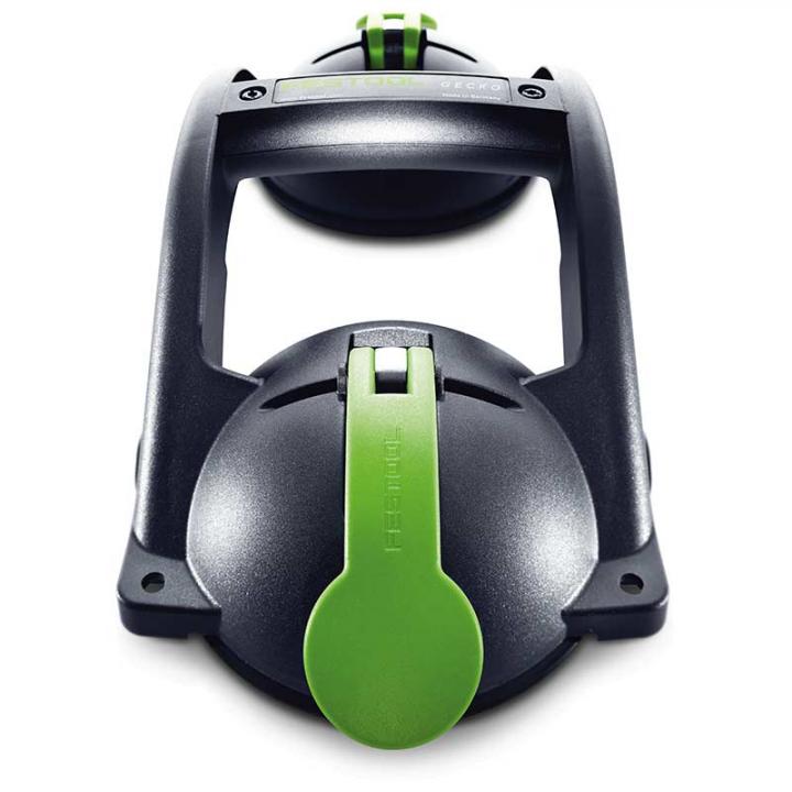 down_fs_gecko_492617_a_01a