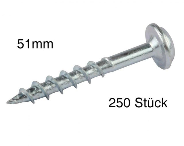 51-250ymzQZXtdI2hCl