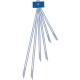 DV005-ppic_Treppenspinne_0
