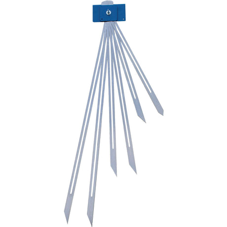 DV005-ppic_Treppenspinne_0