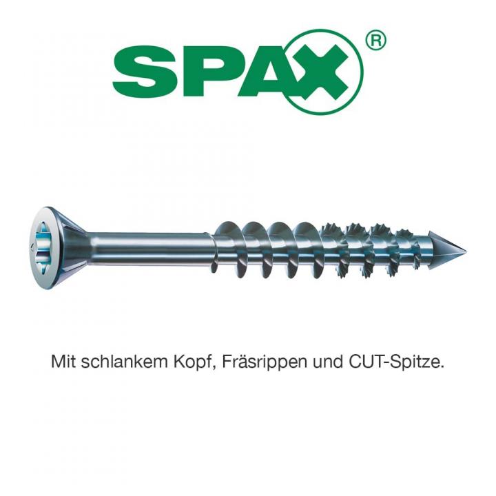 DV005-ppic_spax_m_tg_tx_verzinkt_blau_0