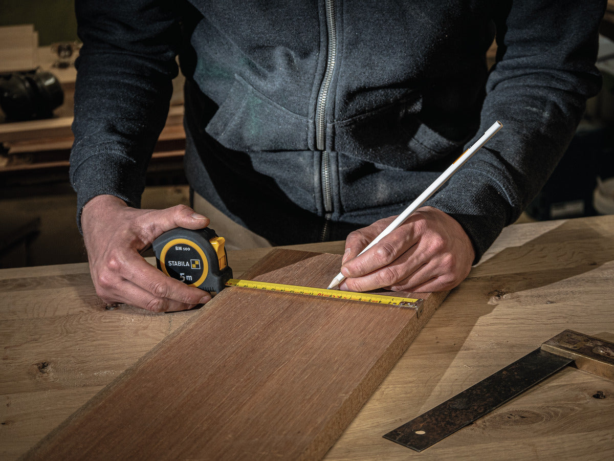 DV03_MPTypeBM100-APL-BM100-02