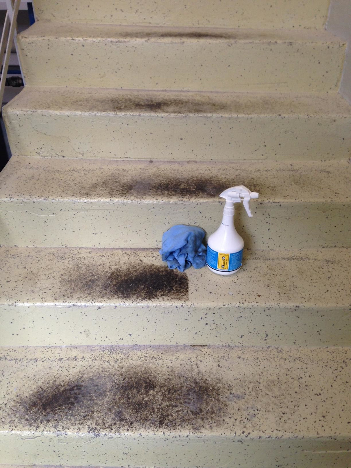 easy_clean_2_g123