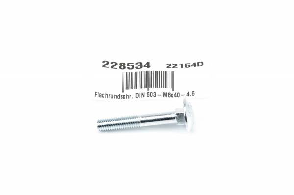 Festool Original-Ersatzteil Flachrundschr. DIN 603-M6x40-4.6 - No: 228534