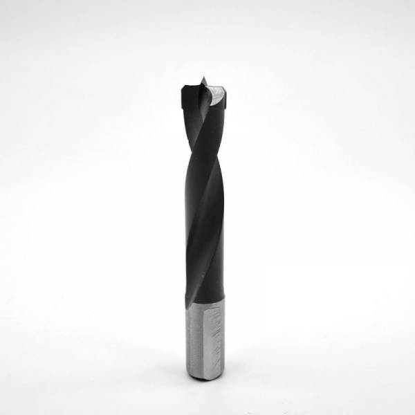 KLEIN Dübelbohrer für Mafell DuoDübler® HW Ø 12 mm - 1 Stück - F165.120.R
